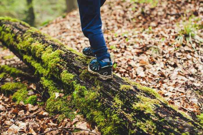 Photo of a child walking on a mossy log