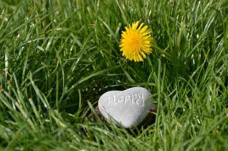 A rock in the shape of a heart with the word 'happy' on it